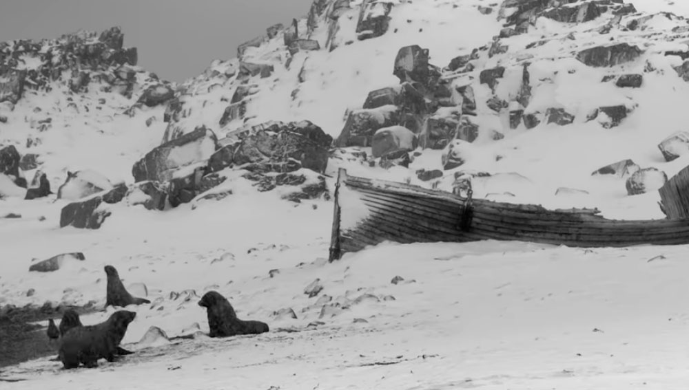 Thom-Yorke-Hands-Off-The-Antarctic-3